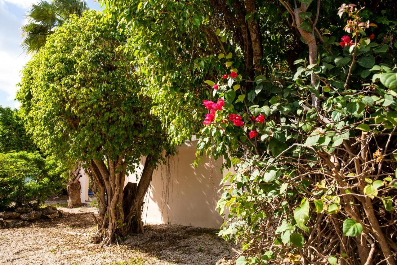 Hamlet Oasis Resort Playa Exterior foto