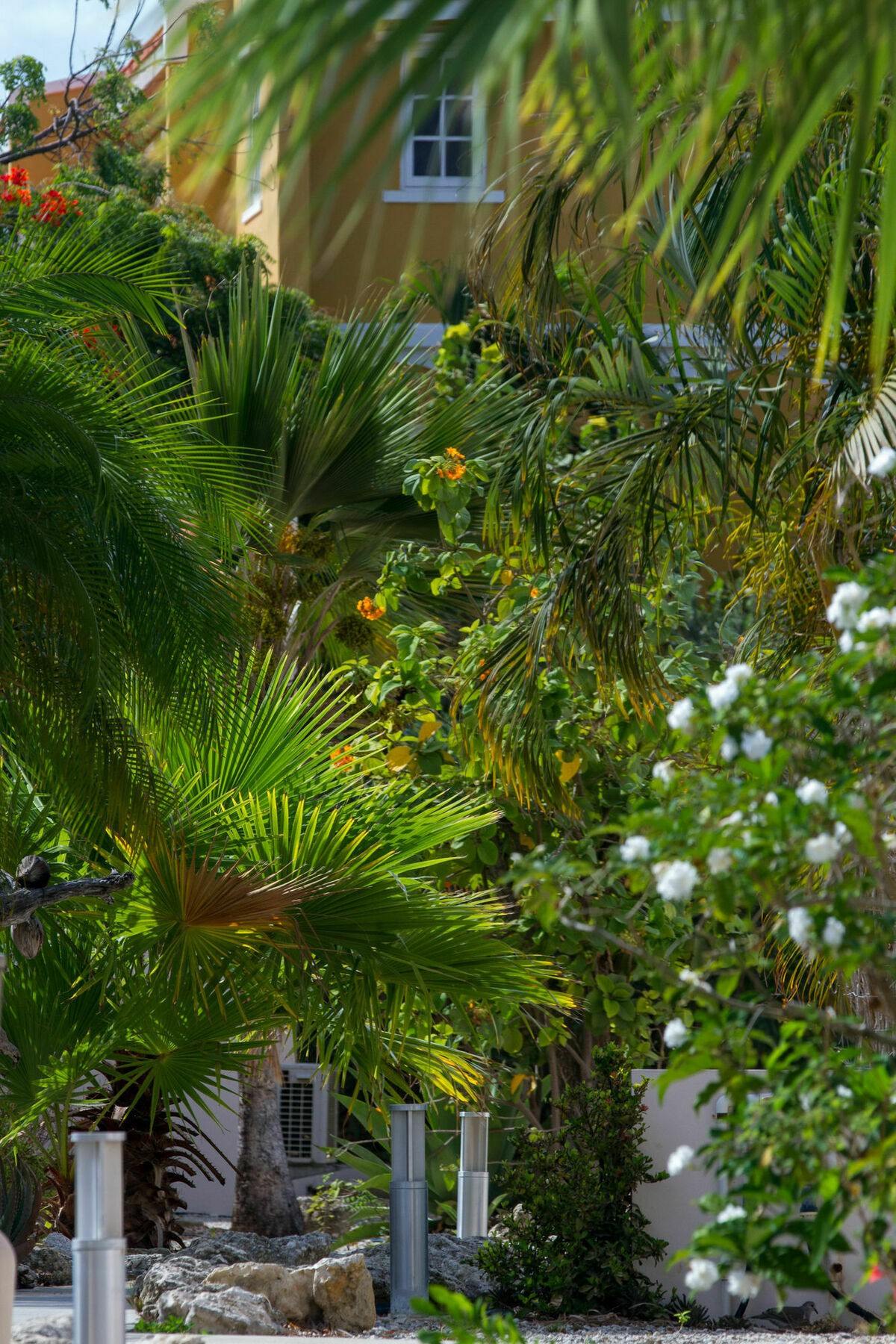 Hamlet Oasis Resort Playa Exterior foto