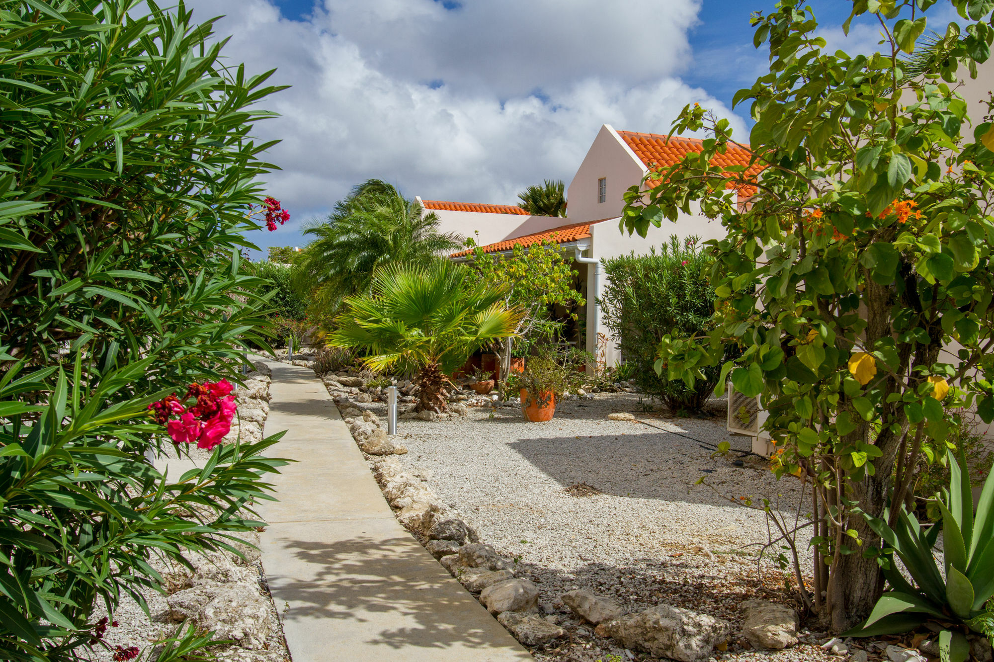 Hamlet Oasis Resort Playa Exterior foto